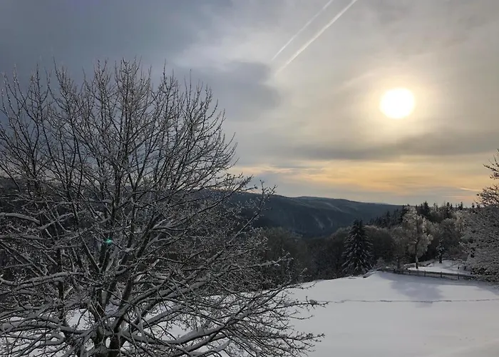 شقة Haus Bergblick فراونوالد