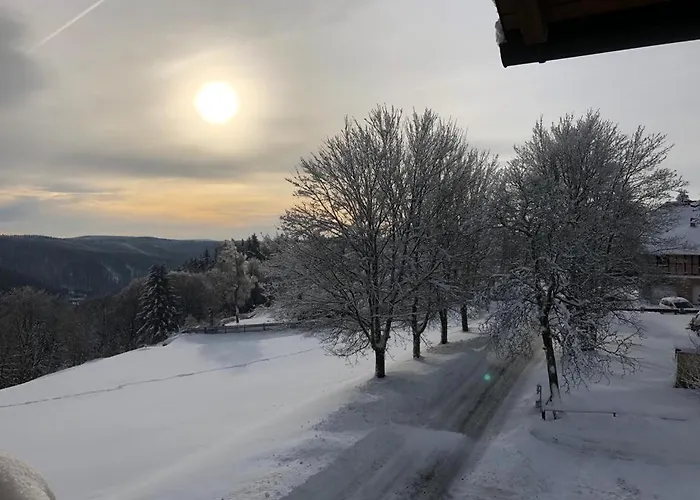 Haus Bergblick شقة فراونوالد